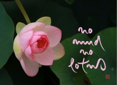 NAM CHÂM THƯ PHÁP DÁN TỦ LẠNH