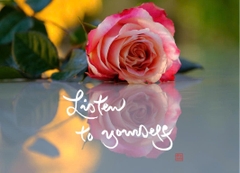 NAM CHÂM THƯ PHÁP DÁN TỦ LẠNH