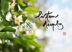 NAM CHÂM THƯ PHÁP DÁN TỦ LẠNH