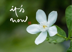 NAM CHÂM THƯ PHÁP DÁN TỦ LẠNH