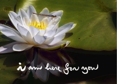 NAM CHÂM THƯ PHÁP DÁN TỦ LẠNH