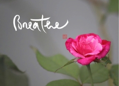 NAM CHÂM THƯ PHÁP DÁN TỦ LẠNH