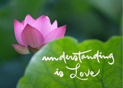 NAM CHÂM THƯ PHÁP DÁN TỦ LẠNH