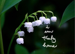 NAM CHÂM THƯ PHÁP DÁN TỦ LẠNH