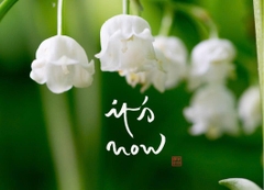 NAM CHÂM THƯ PHÁP DÁN TỦ LẠNH