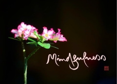 NAM CHÂM THƯ PHÁP DÁN TỦ LẠNH