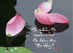 NAM CHÂM THƯ PHÁP DÁN TỦ LẠNH