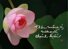 NAM CHÂM THƯ PHÁP DÁN TỦ LẠNH