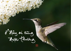 NAM CHÂM THƯ PHÁP DÁN TỦ LẠNH