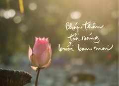 NAM CHÂM THƯ PHÁP DÁN TỦ LẠNH