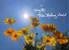 NAM CHÂM THƯ PHÁP DÁN TỦ LẠNH