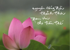 NAM CHÂM THƯ PHÁP DÁN TỦ LẠNH