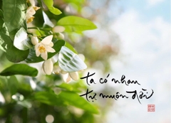 NAM CHÂM THƯ PHÁP DÁN TỦ LẠNH