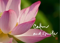 NAM CHÂM THƯ PHÁP DÁN TỦ LẠNH