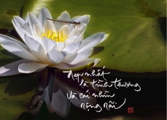 NAM CHÂM THƯ PHÁP DÁN TỦ LẠNH