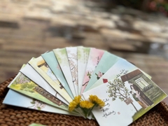 SET 12 BÌ LÌ XÌ / BAO THƯ