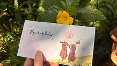 SET 12 BÌ LÌ XÌ / BAO THƯ