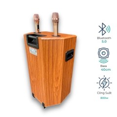 EV Acoustic | EV-418 | Loa Xách Tay Karaoke | Bass 40Cm | Công Suất 600W