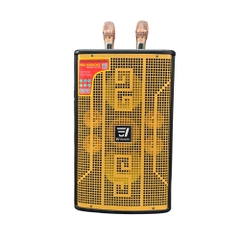 Loa Karaoke Xách Tay EV-286 | Công Suất 500W | 2 Bass 20Cm