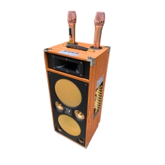 Loa Karaoke Xách Tay EV-289 | Công Suất 450W | 2 Bass 20Cm