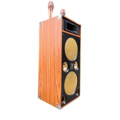 Loa Karaoke Xách Tay EV-289 | Công Suất 450W | 2 Bass 20Cm