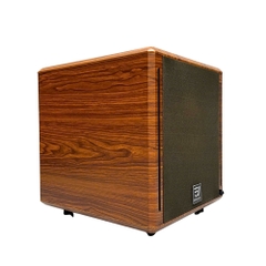 Loa Sub Điện EV Acoustic S62 Luxury Bass 30cm Công Suất 500W Âm Trầm Mạnh Cho Karaoke Gia Đình