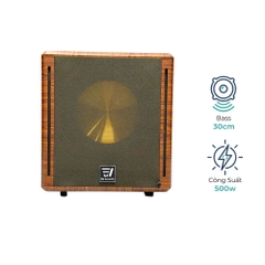 Loa Sub Điện EV Acoustic S62 Luxury Bass 30cm Công Suất 500W Âm Trầm Mạnh Cho Karaoke Gia Đình