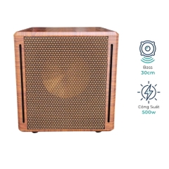 Loa Sub Điện EV Acoustic S62 Luxury Bass 30cm Công Suất 500W Âm Trầm Mạnh Cho Karaoke Gia Đình