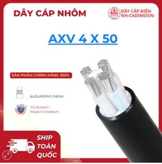 Dây Cáp Nhôm AXV 4×50 – Công Suất Vượt Trội, Hiệu Quả Kinh Tế Tối Đa