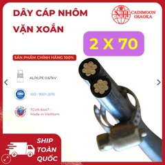 Cáp Nhôm Vặn Xoắn ABC 2x70mm² – Cách Điện XLPE – 0.6kV – TCVN 6447