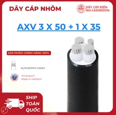 Dây Cáp Nhôm AXV 3×50 + 1×35 – Ổn Định Tải Lớn, Giá Hợp Lý