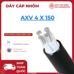 Dây Cáp Nhôm AXV 4×150 – Truyền Tải Siêu Đặc Biệt, Ổn Định Lâu Dài
