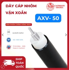 AXV 1c x 50 mm2 ( 2 lớp ) ( 7 sợi )