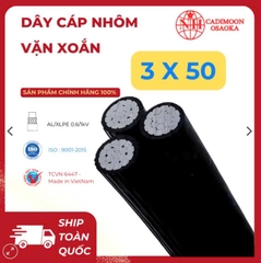 Cáp Nhôm Vặn Xoắn ABC 3x50mm² – Cách Điện XLPE – 0.6kV – TCVN 6447