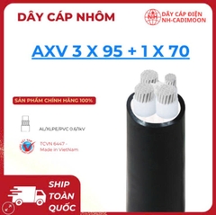 Dây Cáp Nhôm AXV 3×95 + 1×70 – Cân Bằng Tải Tuyệt Đối, Giá Rẻ Cho Công Trình Lớn
