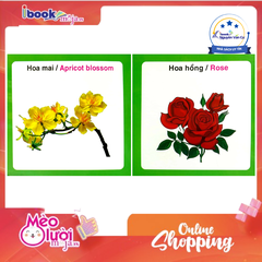 Từ Điển Hình Ảnh Cho Bé - Các Loài Hoa