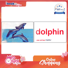 Flash Card Tiếng Anh - Sea Animals (Động Vật Biển) (Tái Bản 2023)