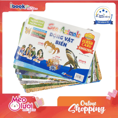 Flash Card Tiếng Anh - Sea Animals (Động Vật Biển) (Tái Bản 2023)