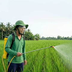 Mặt Nạ Bảo Hộ Guvac - Kính Trong Suốt, Chống Bụi, Chống Giọt Bắn