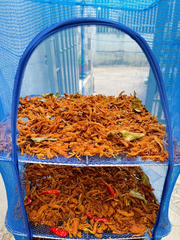 Lồng Lưới Phơi Thực Phẩm 4 Tầng – Giải Pháp Chống Côn Trùng & An Toàn Vệ Sinh