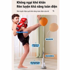 Bóng Đấm Phản Xạ Tự Đứng Đế Hút Chân Không - Tập Boxing Tại Nhà