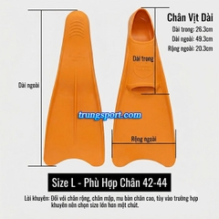 Chân Vịt Bơi Lội Yingfa Chính Hãng | Chân Vịt Tập Bơi Chuyên Nghiệp