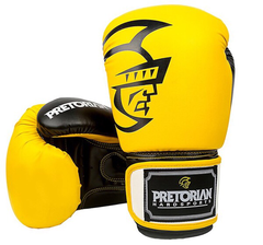 GĂNG TAY BOXING PRETORIAN