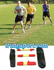 THANG DÂY TẬP THỂ LỰC TẬP CHÂN TỐC ĐỘ NHANH NHẸN