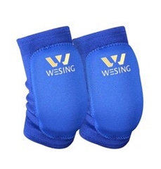 BẢO HỘ CHỎ WESING