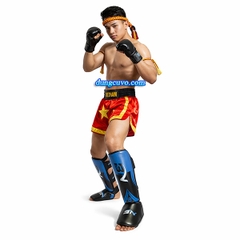 Bảo Hộ Chân Muay MMA Kickboxing BN Chính Hãng | Êm – Bền – An Toàn