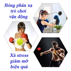 Bóng Tập Phản Xạ Tốc Độ Treo Đầu Tennis - Dụng Cụ Tập Võ Tại Nhà Hiệu Quả