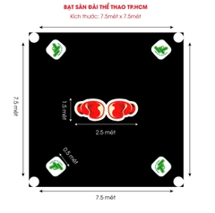 THẢM RING SÀN ĐÀI BOXING SÀN MUAY MMA