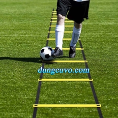 Dây Thang Tập Luyện Bộ Pháp Linh Hoạt, Huấn Luyện Phản Xạ Nhanh