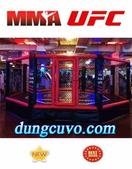 SÀN THI ĐẤU MMA UFC